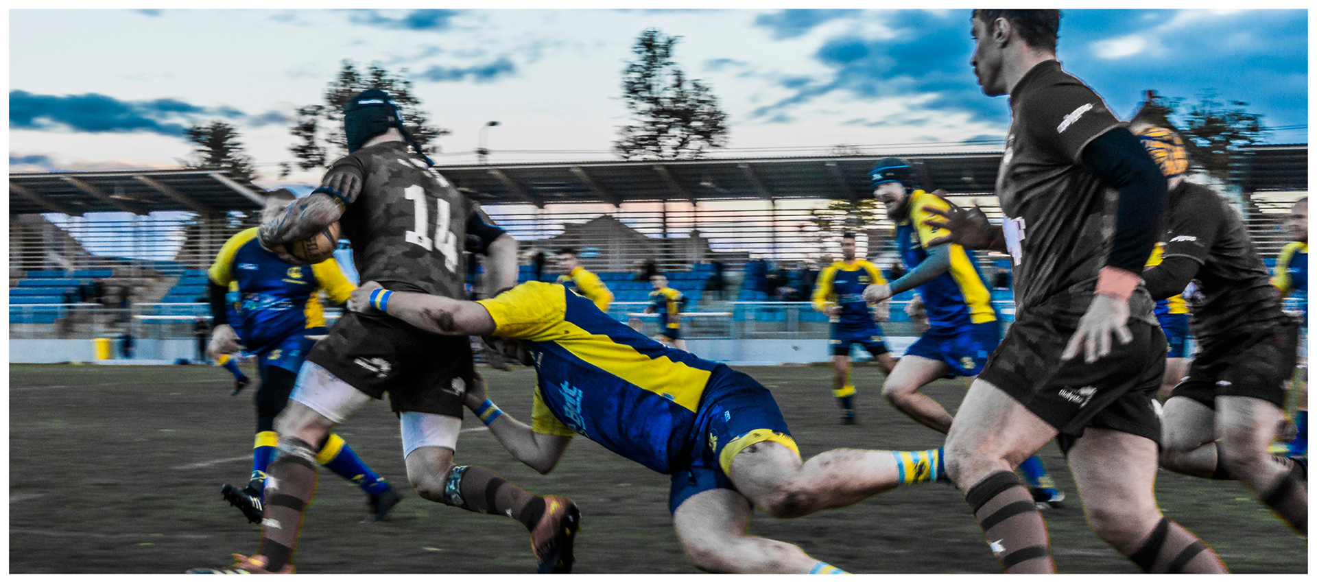 Rumia Rugby • Yellow & Blue